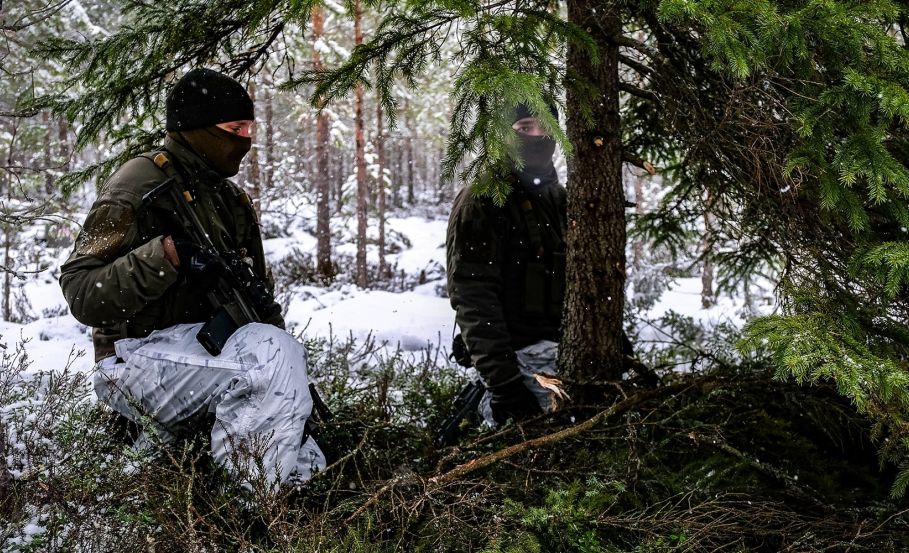 Survival Shelter Tactics for Fast Cover in Arctic Terrain