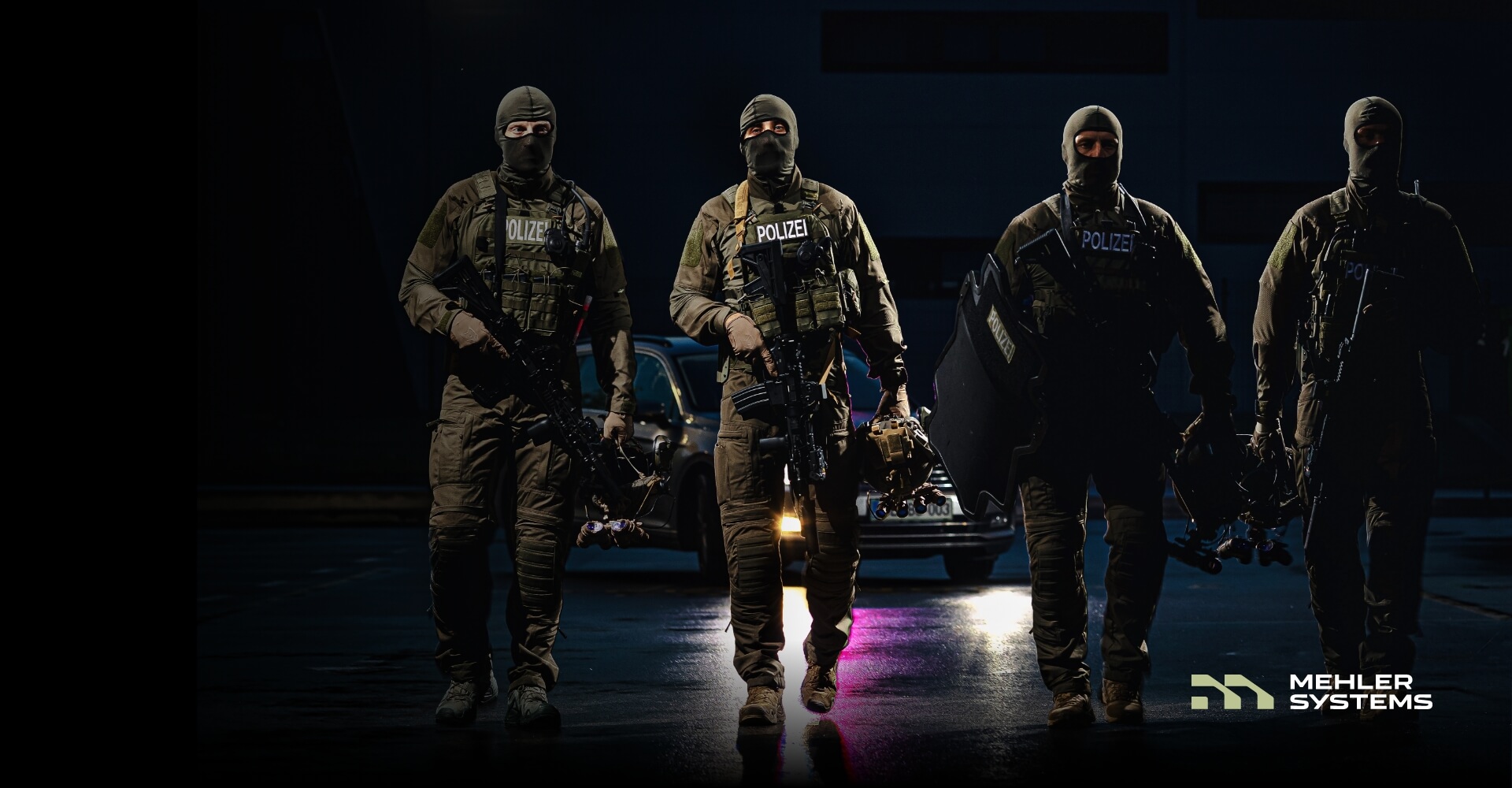 About Mehler Systems