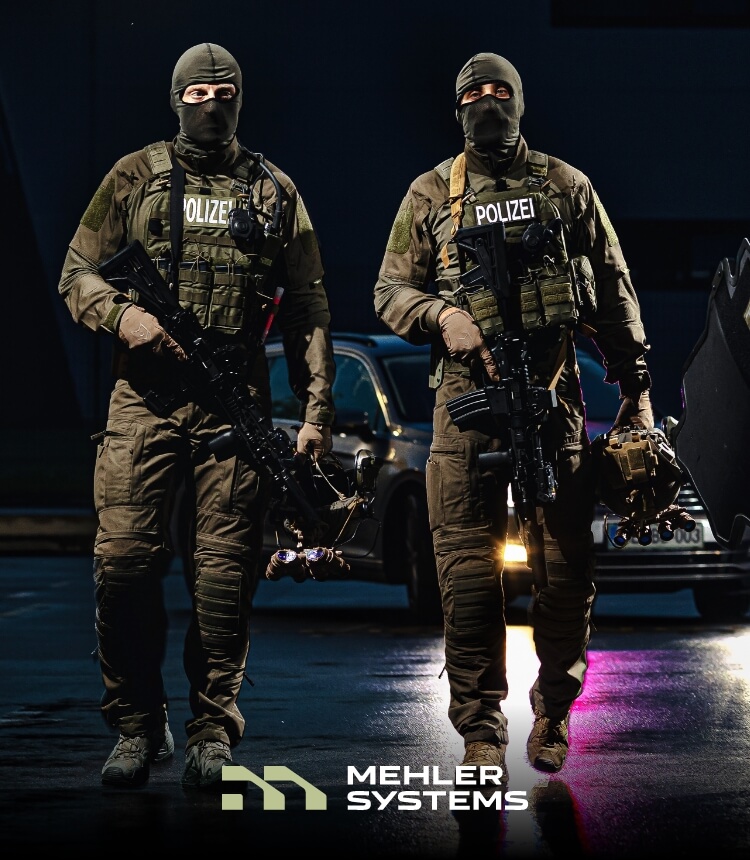 About Mehler Systems